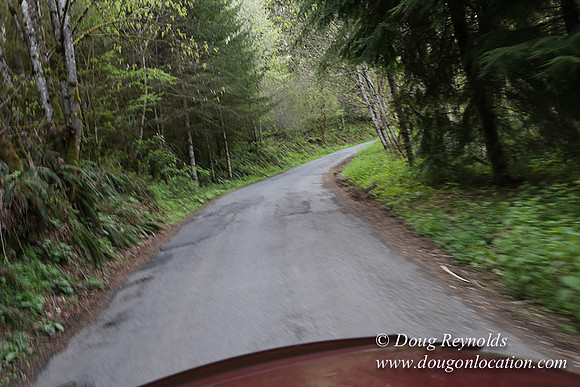 Brians Rd to the Gate-0305