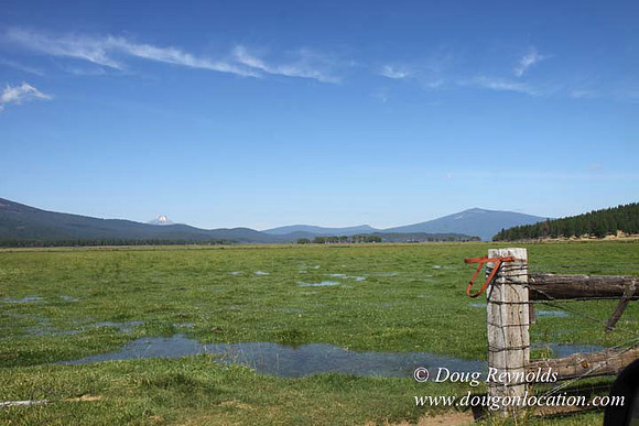 2500 Acres of green fields Creeks water crossing Bridges on a Large Lake and miles of Dirt roads Oak trees Forest land ATV Trails cows