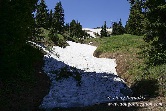 Medow's Snow-5613