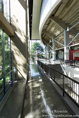 Coliseum & Moda Center