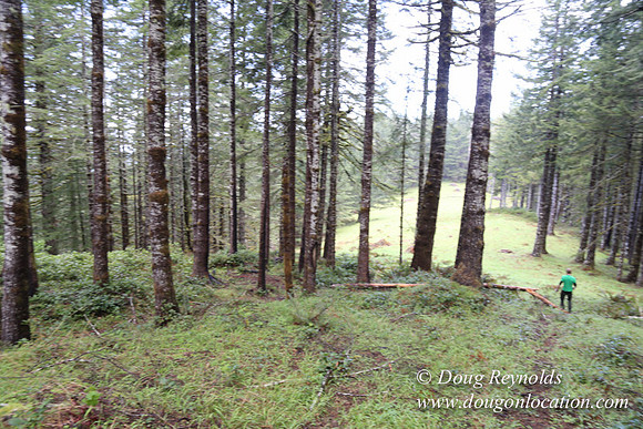 Ross on Fairview Mt Rd-1900