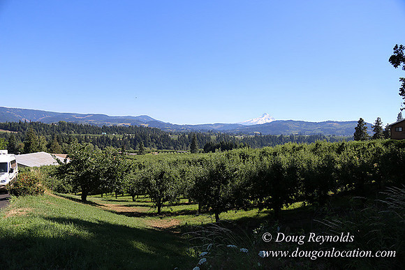 Portland Dr HdRv-8192