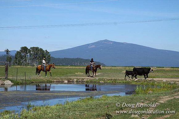 2500 Acres of green fields Creeks water crossing Bridges on a Large Lake and miles of Dirt roads Oak trees Forest land ATV Trails cows
