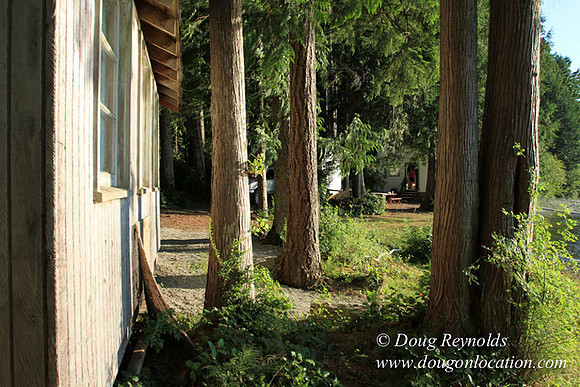 Boat, Cabin, Dock, Home, "House lake", WA, Washington, Yard, deck, "green. Beach" Vacation