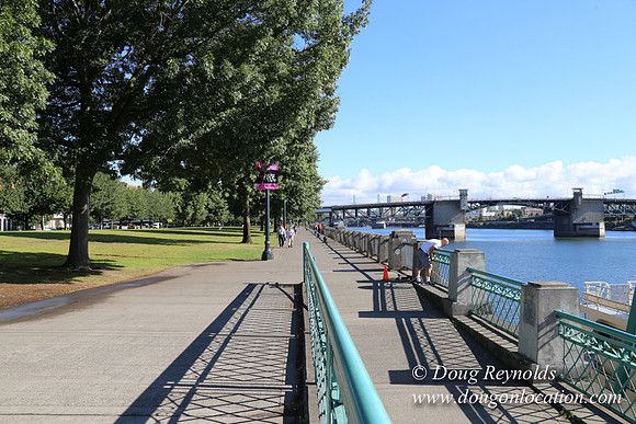 Salmon St Ftn-2736