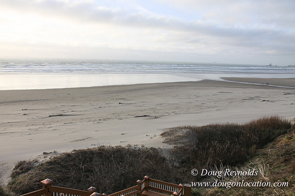 33 Beach CB5-1485