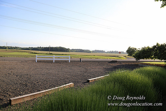 Toms Rd Side-6371