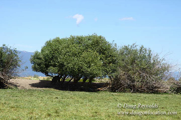 2500 Acres of green fields Creeks water crossing Bridges on a Large Lake and miles of Dirt roads Oak trees Forest land ATV Trails cows