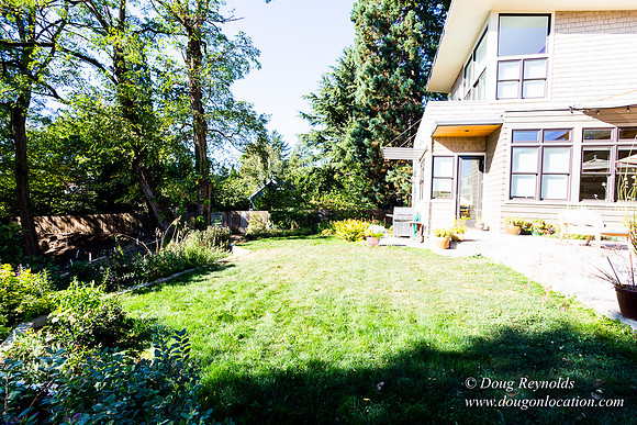Jenx Back Yard