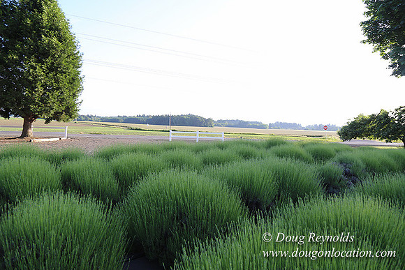 Toms Rd Side-6379