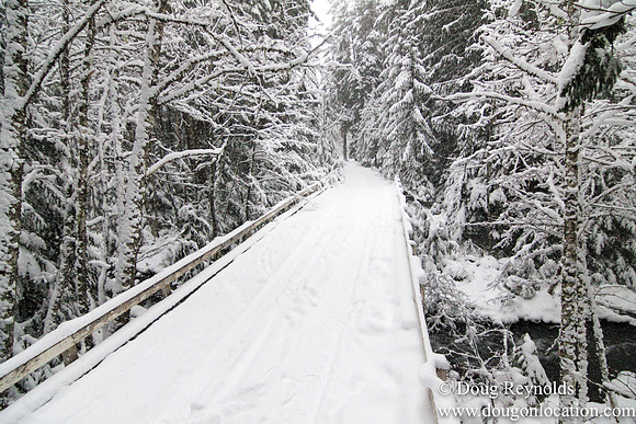 Snow Roads Mt HoodOregon