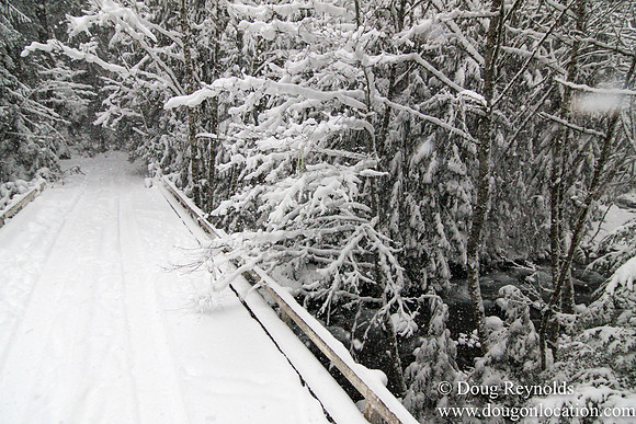 Snow Roads Mt HoodOregon