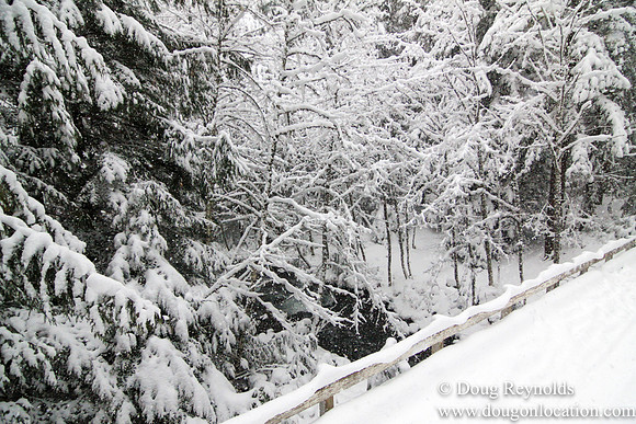 Snow Roads Mt HoodOregon