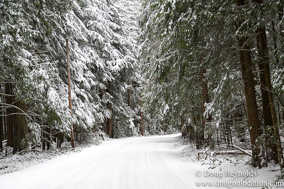 Snow Roads Mt HoodOregon