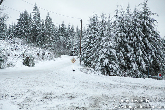 Snow Roads Mt HoodOregon