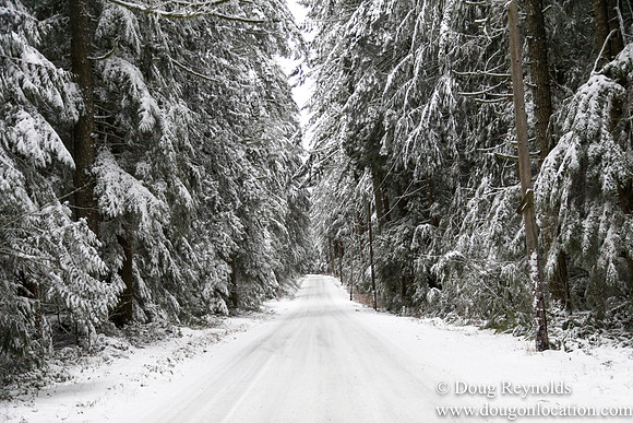 Snow Roads Mt HoodOregon