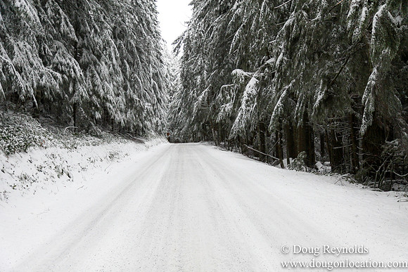 Snow Roads Mt HoodOregon