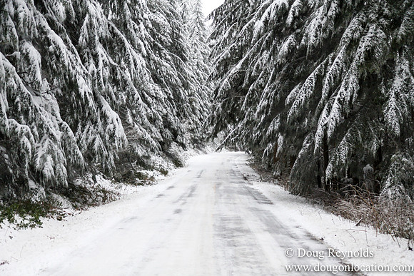 Snow Roads Mt HoodOregon