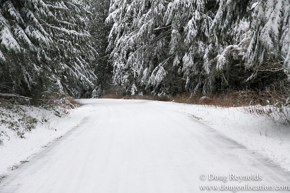 Snow Roads Mt HoodOregon