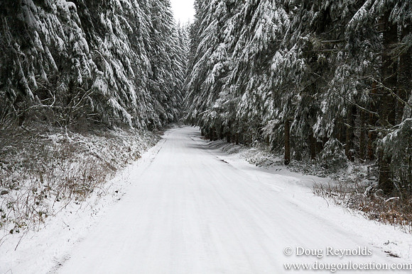 Snow Roads Mt HoodOregon