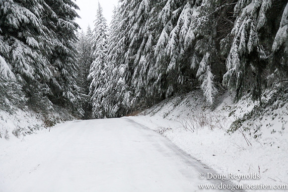 Snow Roads Mt HoodOregon