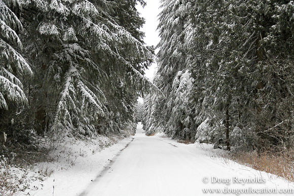 Snow Roads Mt HoodOregon