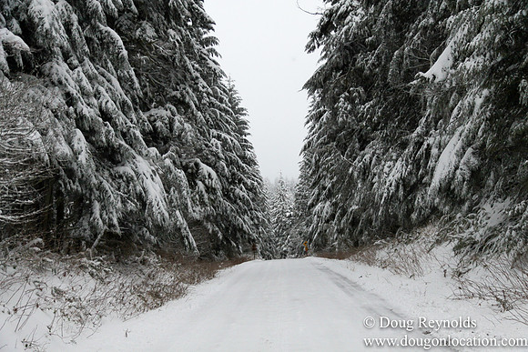 Snow Roads Mt HoodOregon