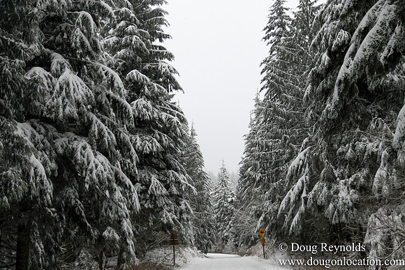 Snow Roads Mt HoodOregon