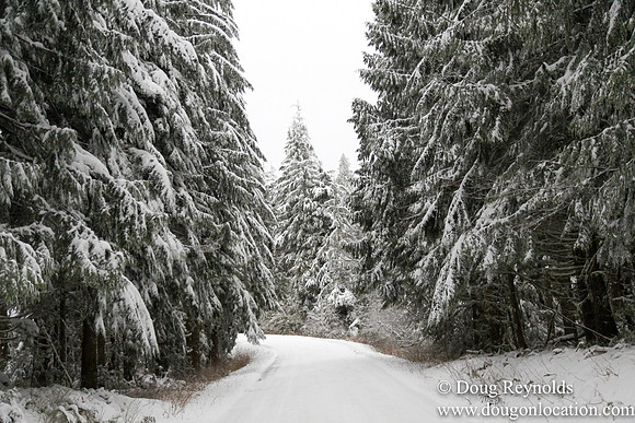Snow Roads Mt HoodOregon