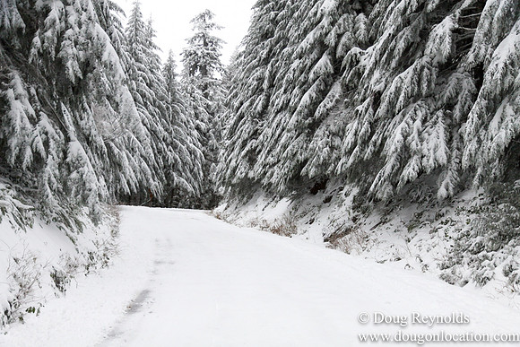Snow Roads Mt HoodOregon