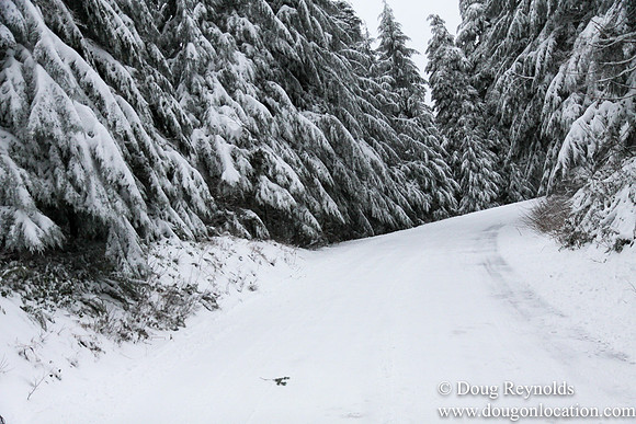 Snow Roads Mt HoodOregon