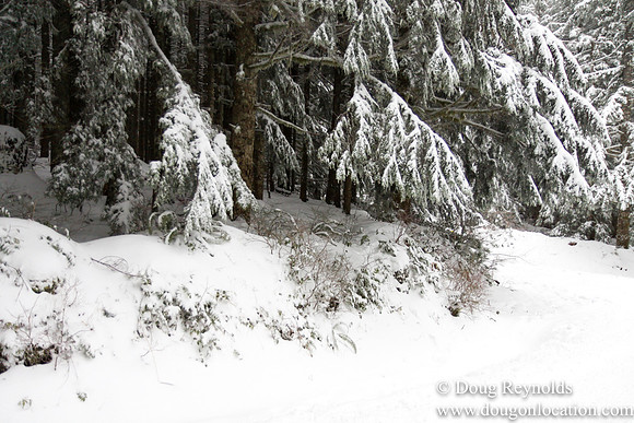 Snow Roads Mt HoodOregon