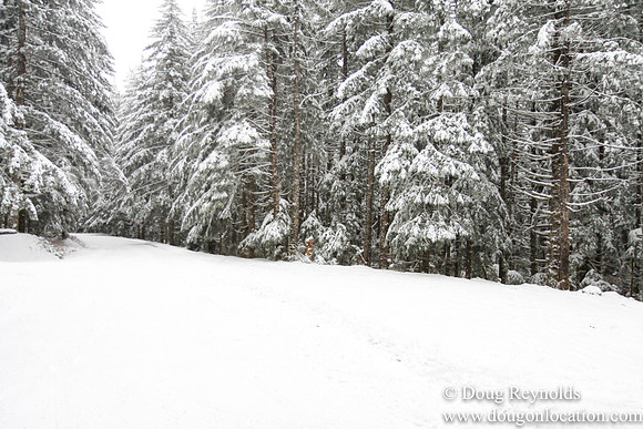 Snow Roads Mt HoodOregon