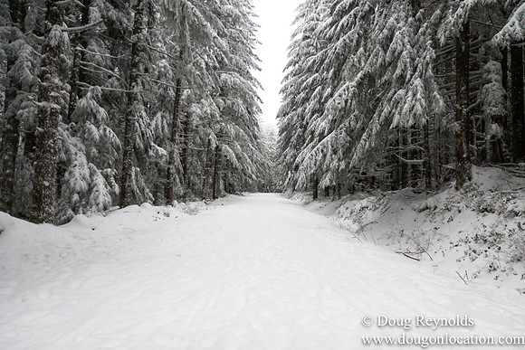 Snow Roads Mt HoodOregon