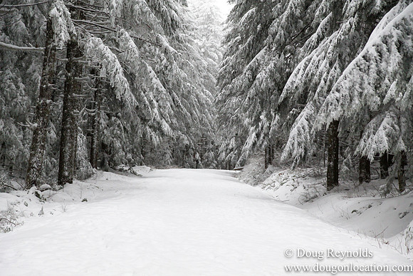 Snow Roads Mt HoodOregon