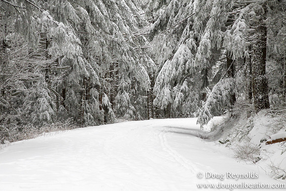 Snow Roads Mt HoodOregon