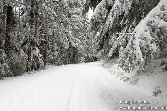 Snow Roads Mt HoodOregon