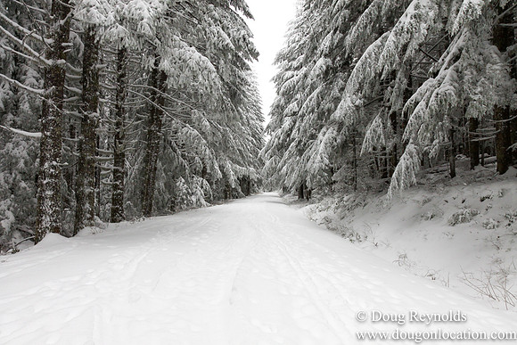 Snow Roads Mt HoodOregon