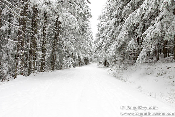 Snow Roads Mt HoodOregon