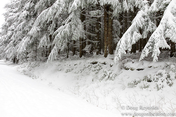 Snow Roads Mt HoodOregon