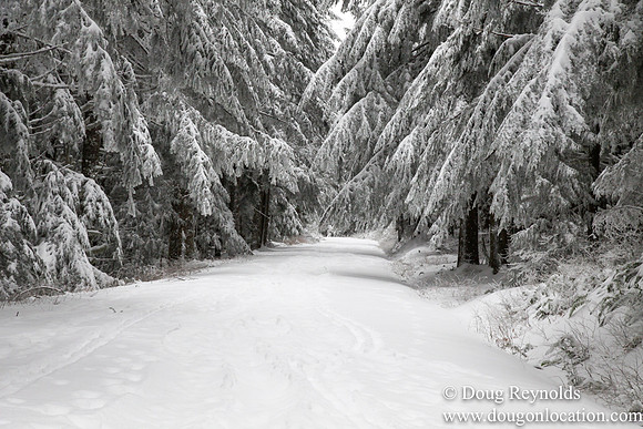 Snow Roads Mt HoodOregon