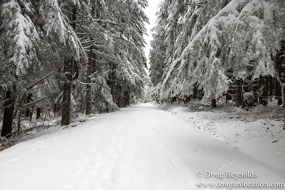 Snow Roads Mt HoodOregon