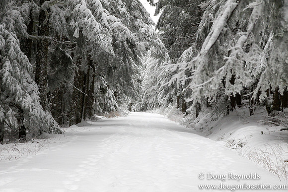 Snow Roads Mt HoodOregon