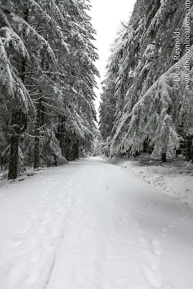 Snow Roads Mt HoodOregon