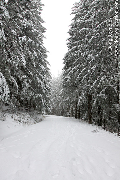 Snow Roads Mt HoodOregon