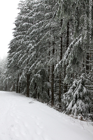 Snow Roads Mt HoodOregon