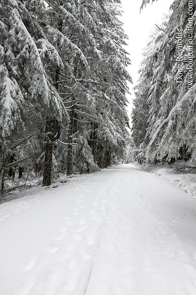 Snow Roads Mt HoodOregon