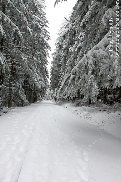 Snow Roads Mt HoodOregon