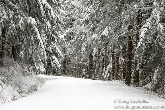 Snow Roads Mt HoodOregon