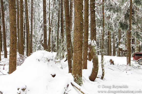 Snow Roads Mt HoodOregon